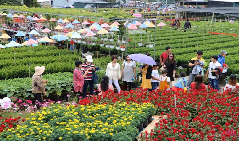 Le bonheur est dans les champs de fleurs. Photo: dulich.dongthap.gov.vn