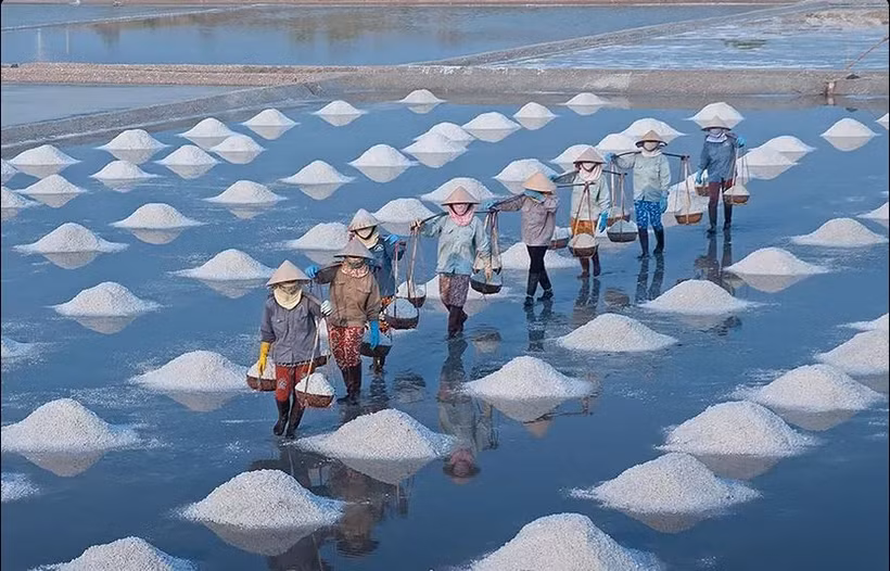 Les champs de sel de Sa Huynh, dans la province de Quang Ngai, sont les plus importants au Centre. Source : topquangngai.vn