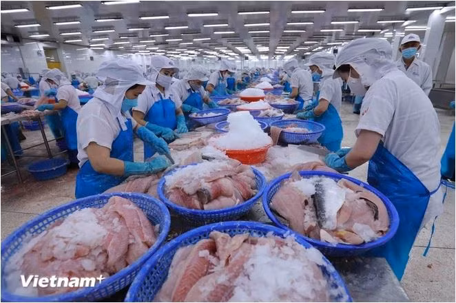 Des ouvriers transforment des produits aquatiques destinés à l’exportation. Photo : VietnamPlus