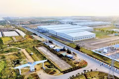 Le parc industriel DEEP C de Hai Phong ambitionne de devenir un modèle de parc industriel écologique et de développement durable au Vietnam. Photo : VNA