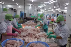 La transformation des produits aquatiques génère une importante source de sous-produits. Photo d’illustration : VNA