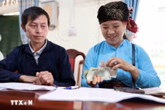 Les ménages pauvres bénéficient de prêts préférentiels pour le développement économique. Photo: VNA