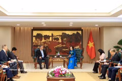 Panorama de la rencontre entre la vice-Première ministre Pham Thi Thanh Tra, et une délégation de l’Université Texas Tech conduite par le Dr Stephen Maxner, directeur du VNCA. Photo: VNA