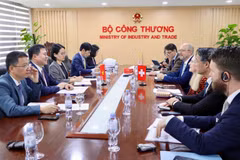 Panorama de la séance de travail. Photo: moit.gov.vn/