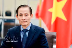 Le ministre des Affaires étrangères Le Hoai Trung. Photo: VNA