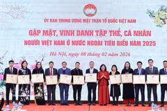 Bui Thi Minh Hoai, présidente du Comité central du Front de la Patrie du Vietnam, remet des certificats de mérite aux collectifs. Photo: VNA