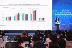 Tina Khan, économiste en chef de la Banque mondiale pour le Vietnam, le Cambodge et le Laos, s'exprime lors de l'événement. Photo: VNA