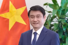 Le vice-ministre des Affaires étrangères, Le Anh Tuan. Photo: ministère des Affaires étrangères