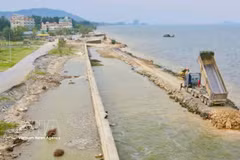 La province de Thanh Hoa accélère les travaux de construction sur les digues et ouvrages de protection importants. Photo : VNA