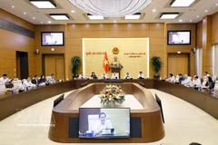 Panorama de la réunion du Comité permanent de l'Assemblée nationale, le 17 août. Photo: VNA