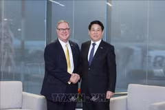 Le président de la République, Luong Cuong, et le vice-gouverneur de l’État de Washington, Denny Heck. Photo: VNA