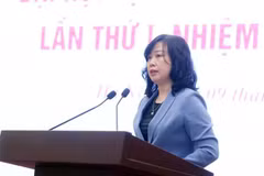 Dao Hong Lan, membre du Comité central du Parti, ministre de la Santé, Photo: VNA