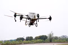 La coopérative de jeunesse Nam Dai Duong, dans la commune de Nghia Hung (province de Ninh Binh), utilise des drones pour le semis du riz. Photo d'illustration : Nguyen Lanh - VNA