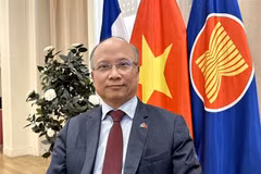 L’ambassadeur du Vietnam en France, Dinh Toan Thang. Photo: VNA