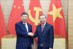 Le secrétaire général du Comité central du Parti communiste chinois (PCC) et président chinois, Xi Jinping, et le secrétaire général du Parti communiste du Vietnam, Tô Lâm. Photo: VNA
