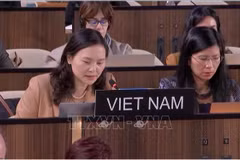 L’ambassadrice Nguyen Thi Van Anh, cheffe de la Délégation permanente du Vietnam auprès de l’UNESCO, présente l’initiative lors de la 222ᵉ session du Conseil exécutif de l’UNESCO. Photo : VNA