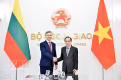 Le ministre des Affaires étrangères, Le Hoai Trung, et son homologue lituanien, Kestutis Budrys. Photo: VNA