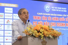 Nguyen Ngoc Hoa, président de l’Association des entreprises de Ho Chi Minh-Ville (HUBA). Photo: VNA