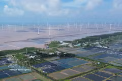 Un projet éolien en mer dans la commune de Dong Hai, province de Ca Mau. Photo : VNA