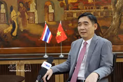 L’ambassadeur du Vietnam en Thaïlande Pham Viet Hung. Photo: VNA