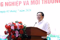 Le vice-Premier ministre Ho Quoc Dung s'exprime lors de l'événement. Photo: baochinhphu.vn