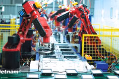 Une approche holistique permet de s'attaquer au problème de l'optimisation des bénéfices tirés des ressources publiques afin de bâtir une économie indépendante et autonome. Photo: Vietnam+