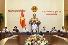 Le président de l’Assemblée nationale, Tran Thanh Man, prononce le discours d’ouverture de la réunion. Photo : VNA