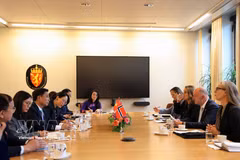 Le vice-président de l’Assemblée nationale Nguyen Doan Anh s’entretient avec le premier vice-président du Parlement norvégien, Morten Stordalen. Photo : VNA