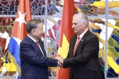 Le secrétaire général du PCV et président vietnamien, To Lam, et le premier secrétaire du Parti communiste de Cuba et président cubain, Miguel Diaz Canel Bermudez, lors de la visite du dirigeant vietnamien à Cuba en 2024. Photo : VNA
