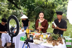 Des créateurs de contenu aident les agriculteurs de Hung Yen à vendre des longanes et des produits agricoles OCOP sur TikTok. Photo : VNA