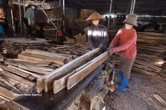 Transformation de bois issu de forêts de plantation dans une entreprise de Bac Ninh. Photo : VNA