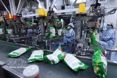 Conditionnement de riz destiné à l’exportation à l’usine de Vinh Phat Wilmar, dans le quartier de Binh Duc, province d’An Giang. Photo : VNA
