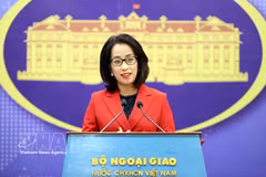 La porte-parole du ministère des Affaires étrangères, Pham Thu Hang. Photo: VNA