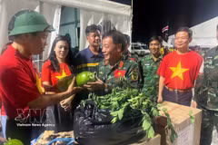 L’ambassadeur Vu Trung My remet des présents à l’équipe vietnamienne de recherche et de sauvetage. Photo : VNA