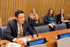 L’ambassadeur Dang Hoang Giang, chef de la Mission permanente du Vietnam auprès de l’ONU. Photo: VNA