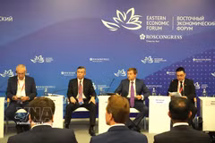 Le ministre des Finances Ngo Van Tuan (2e à gauche) et des délégués au Forum économique oriental en Russie. Photo : VNA