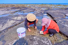 Exploitation de fruits de mer sur l’île de Bach Long Vi. Photo Qdnd.vn