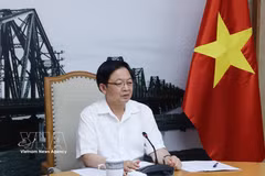 Le vice-Premier ministre Ho Quoc Dung. Photo: VNA