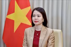 La vice-ministre des Affaires étrangères, Nguyen Minh Hang. Photo: VNA